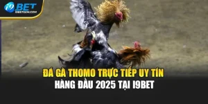 Đá Gà Thomo Trực Tiếp Uy Tín Hàng Đầu 2025 Tại I9bet