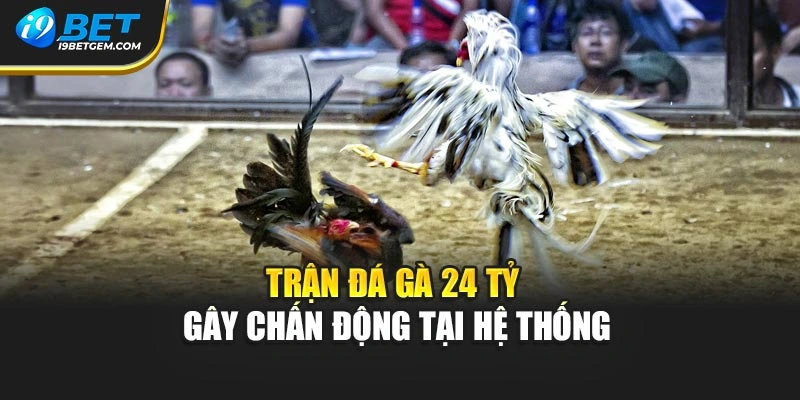 Trận đá gà 24 tỷ gây chấn động tại hệ thống