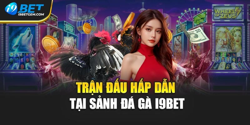 Trận đấu hấp dẫn tại sảnh đá gà I9BET